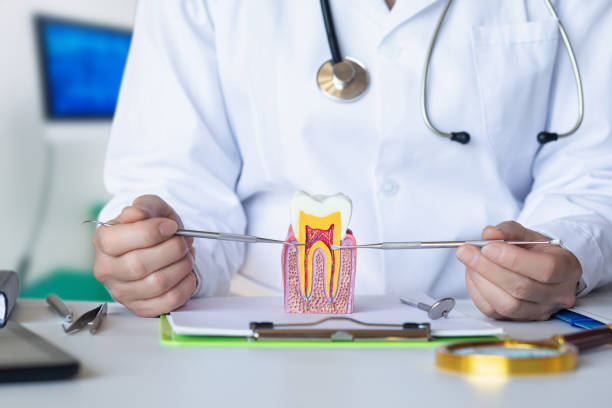 Best Emergency Dental Extractions in Placerville, CA